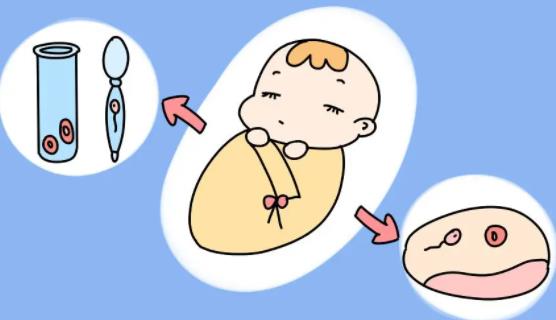 做试管婴儿要几个月啊？试管婴儿几个月后比较稳定？